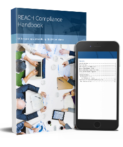 REACH_Compliance-Ebook-1