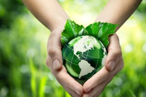 Sustainability
