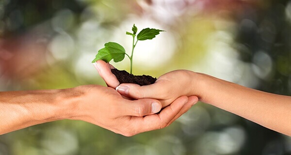 sustainability-road2 (1)